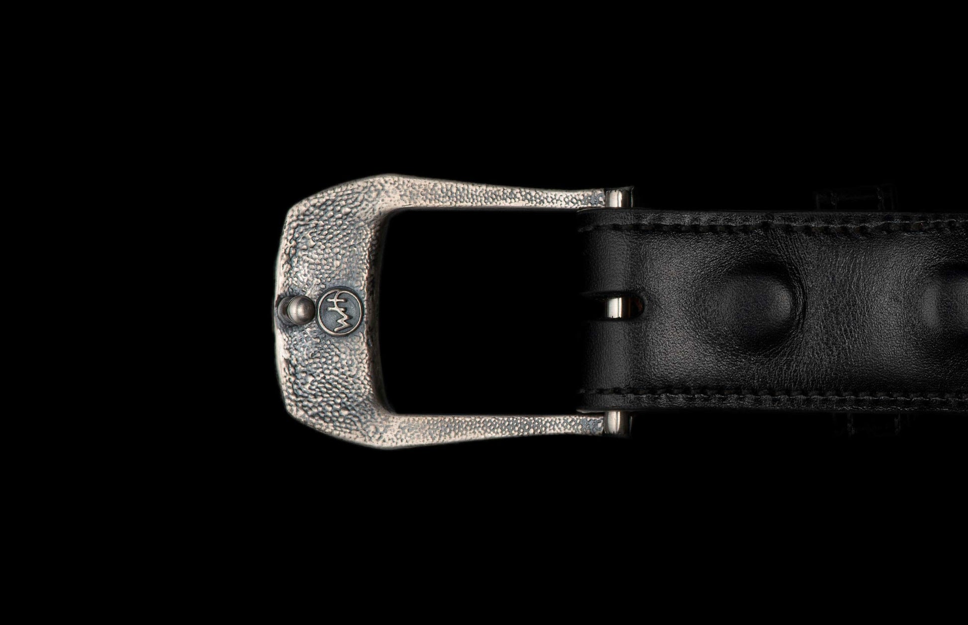 Buckle 3 - Dino