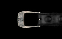 Buckle 3 - Dino